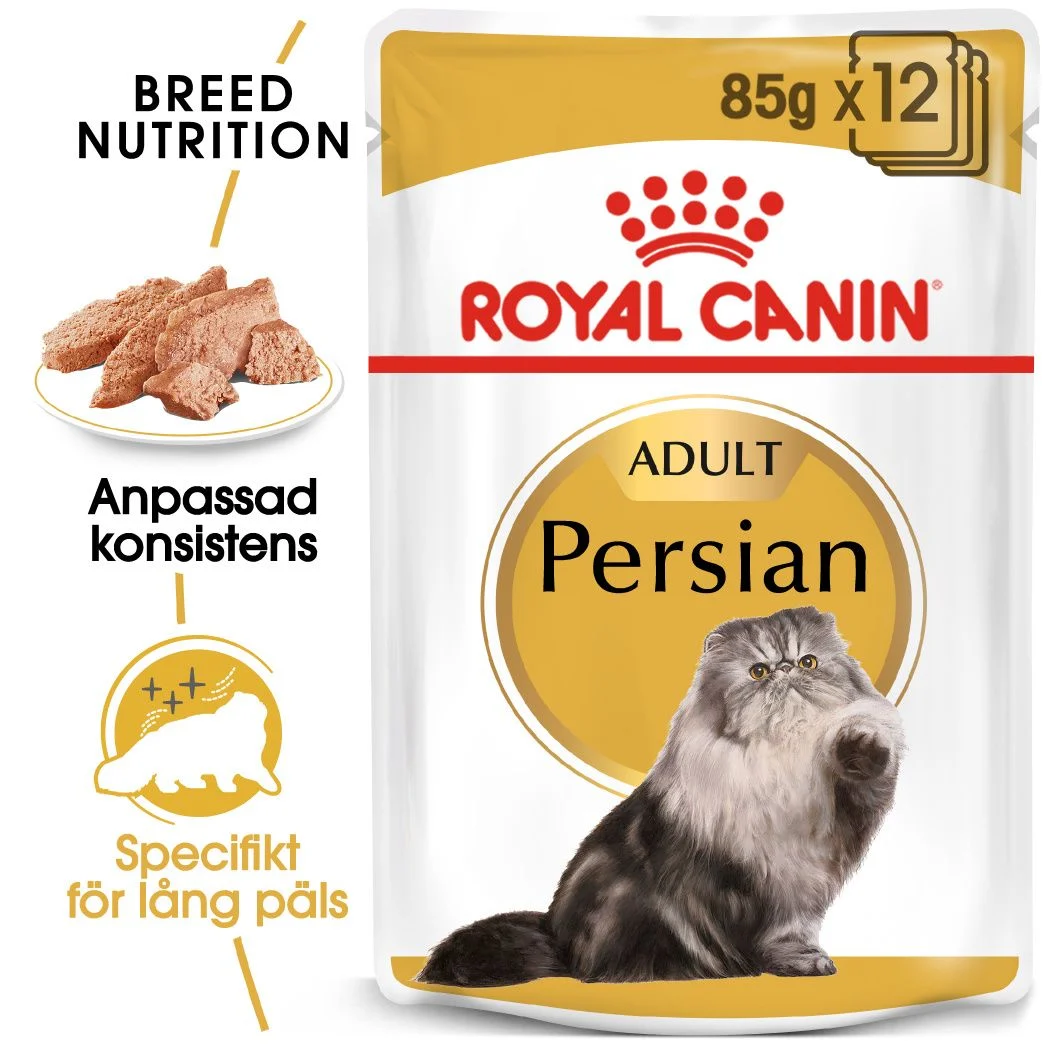 Persian Adult V氓tf么r til katt