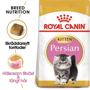 Persian Kitten T酶rrf么r til kattunge