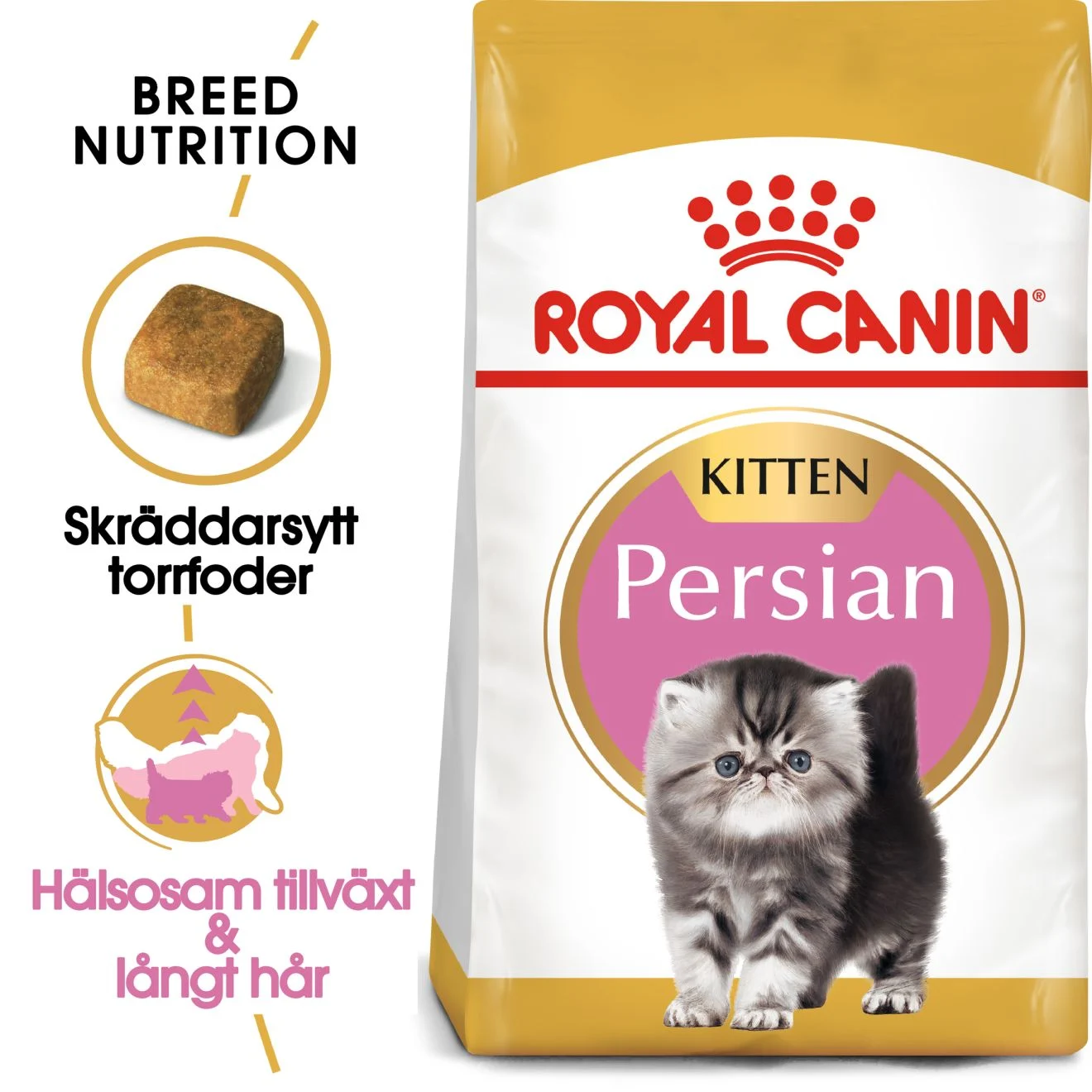 Persian Kitten T酶rrf么r til kattunge