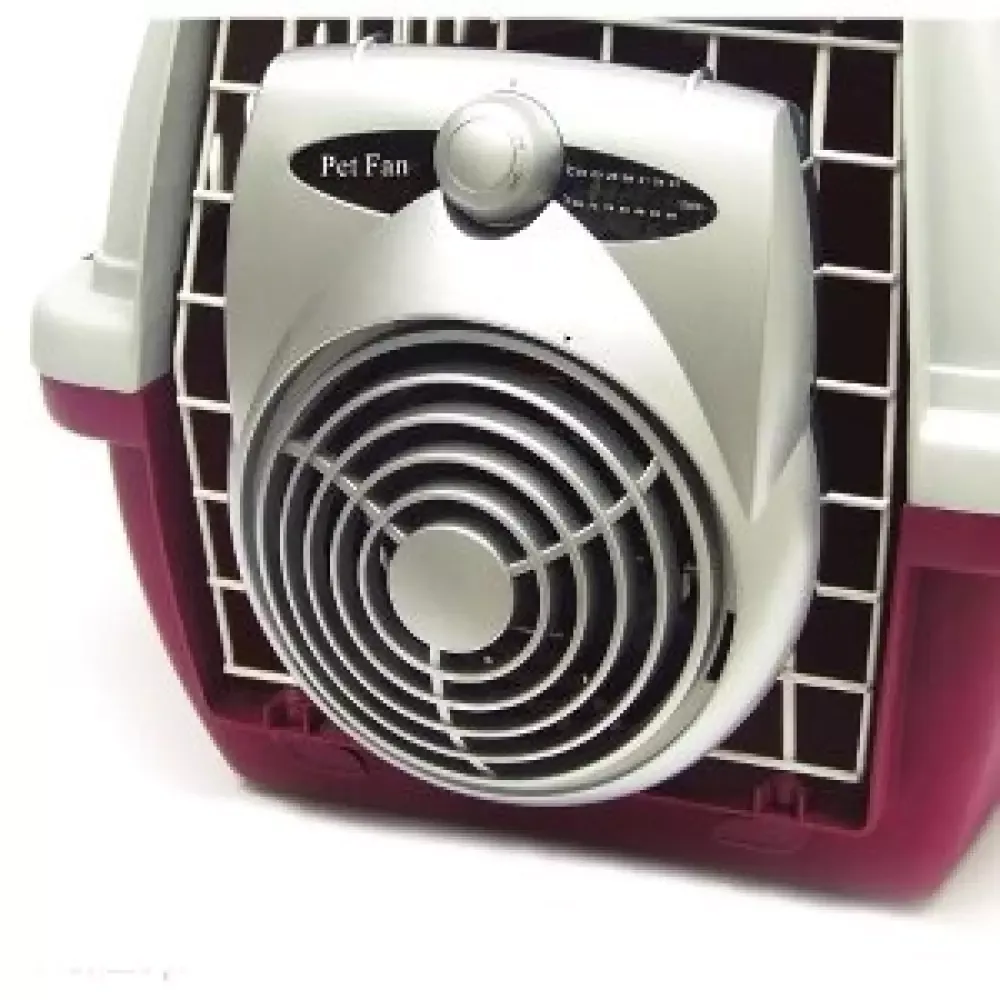 Pet fan – burvifte 2 hast.