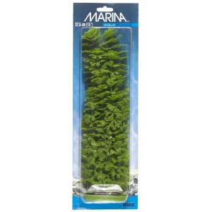 Plastplante Ambulia