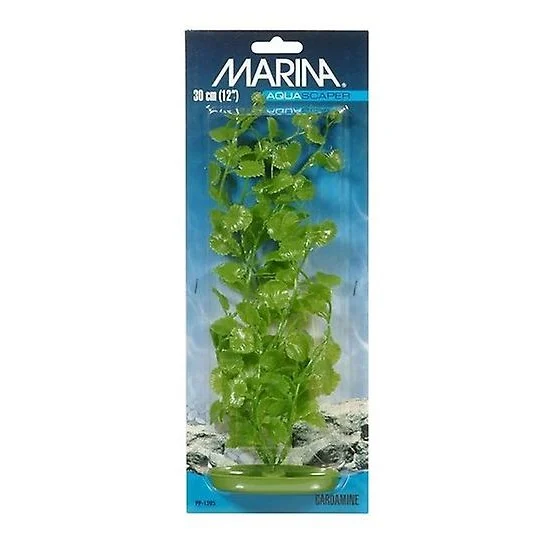 Plastplante Cardamine - Image 2