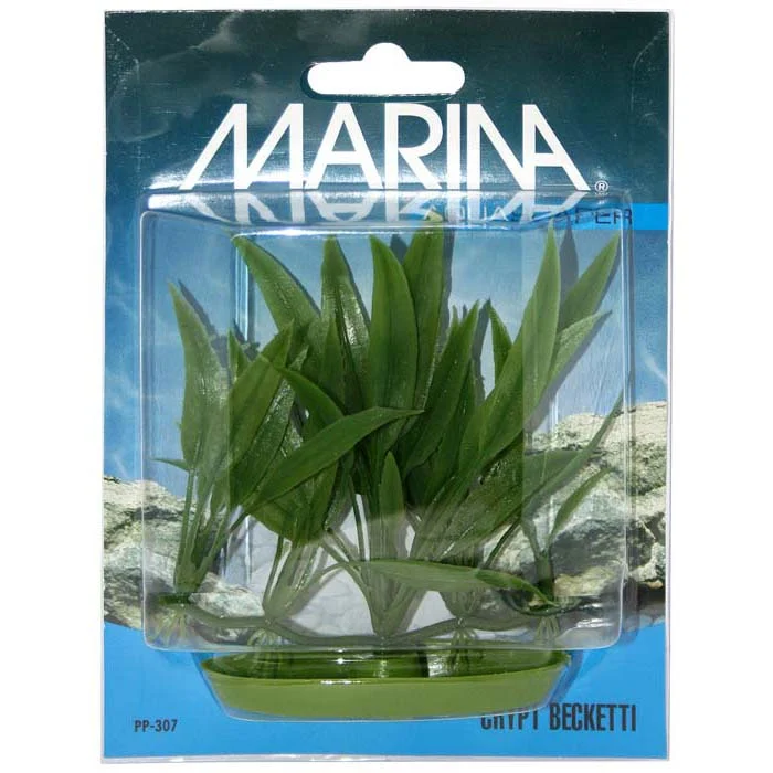 Plastplante crypt becketti