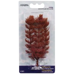 Plastplante foxtail mini 10cm med sugekopp