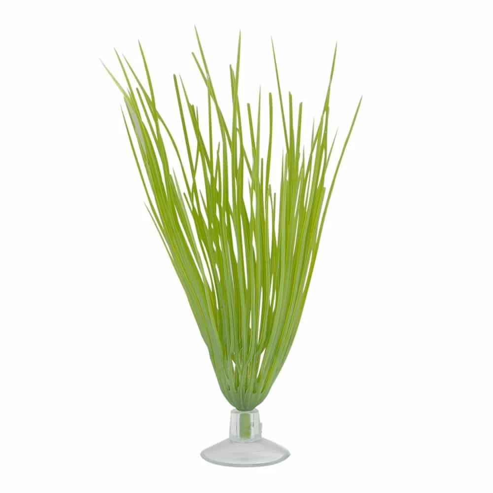 Plastplante hairgrass mini med sugekopp - Image 2