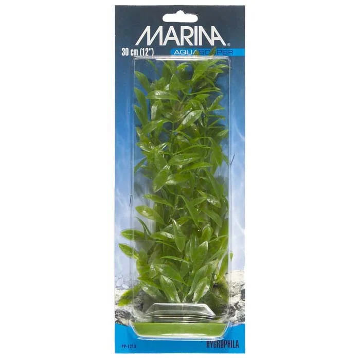 Plastplante Hygrophila