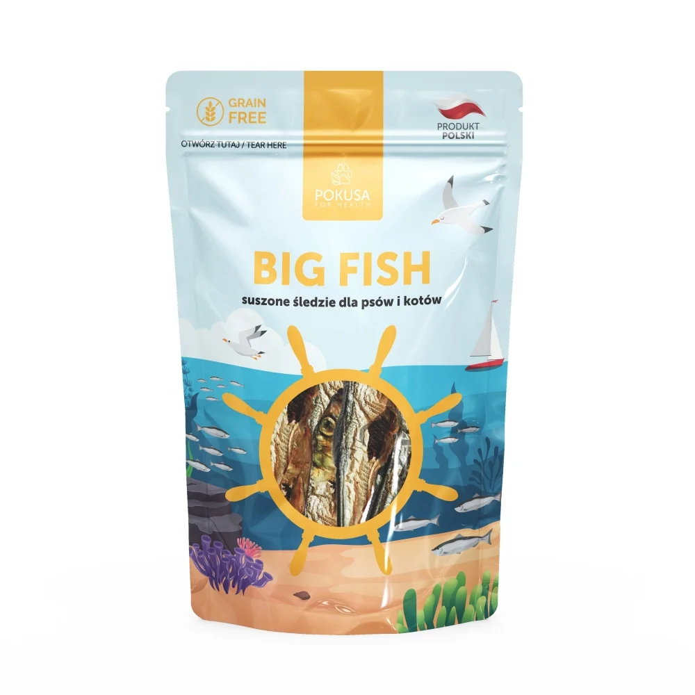 Pokusa Small Fish 60g