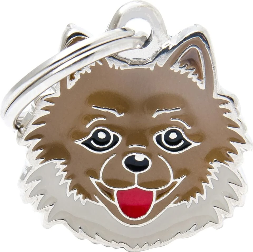 Pomeranian - Image 2