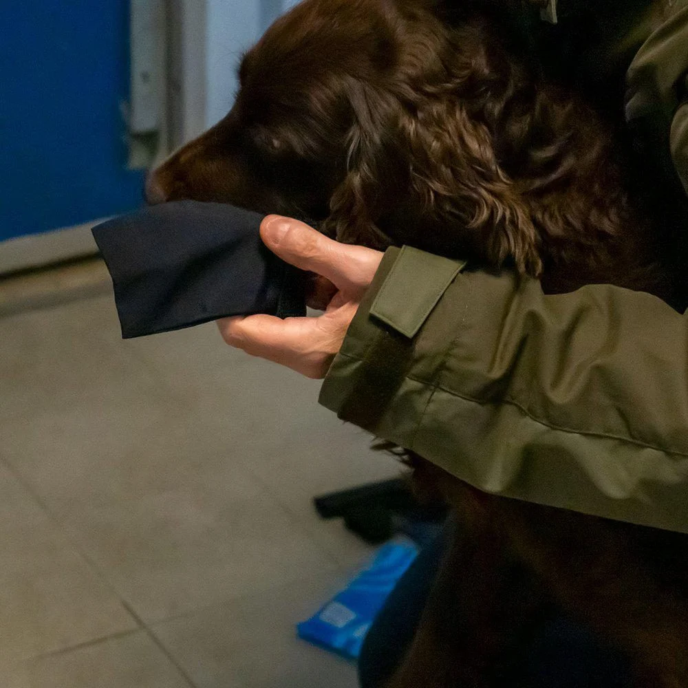 Potesokk hund-Langdistanse sokk hund - Image 2
