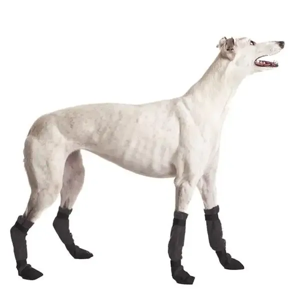 Potesokker greyhound