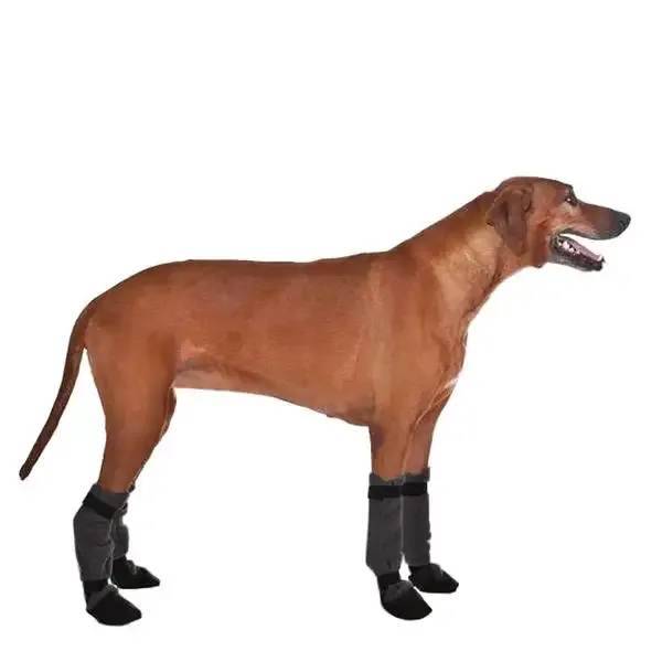 Potesokker rhodesian ridgeback