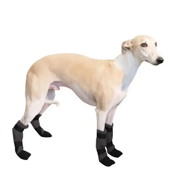 Potesokker whippet