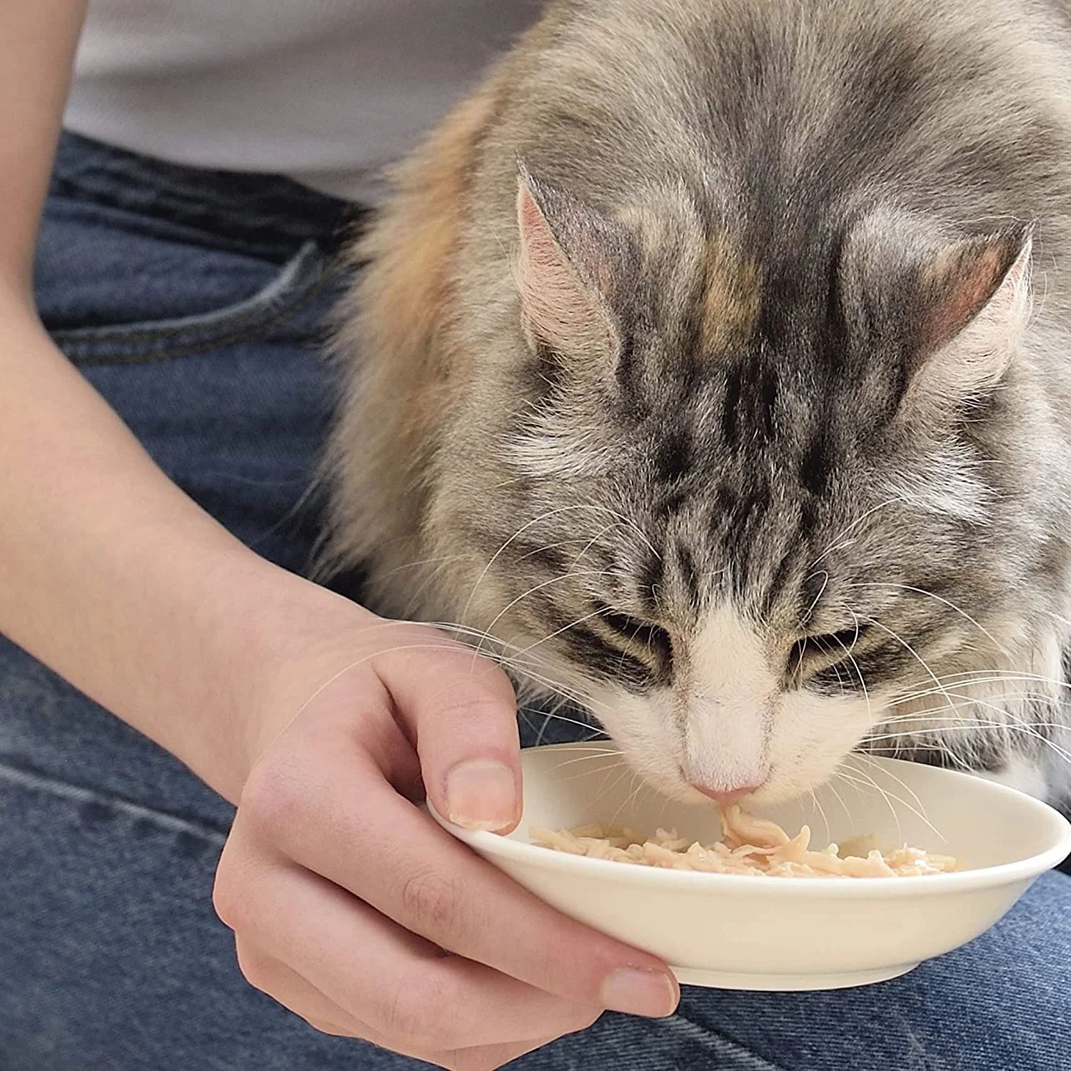 Pouches Inaba våtfòr katt Kylling og Mussling - Image 2