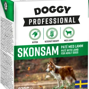 Professional Skonsam