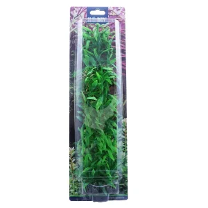 Prydplante Heteranthera 34cm