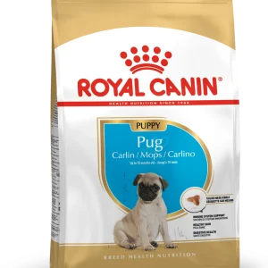 Pug Puppy T酶rrf么r for valp 1,5kg