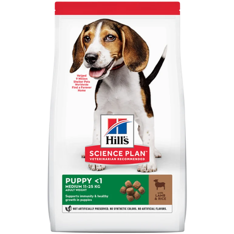 Puppy Healthy Development Medium Lamb & Rice - Dry Dog Food