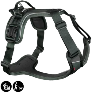 Ramble Harness