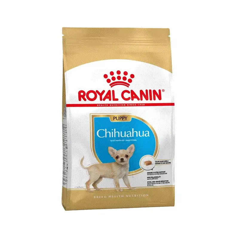 RC Breed Chihuahua Puppy 1,5 kg
