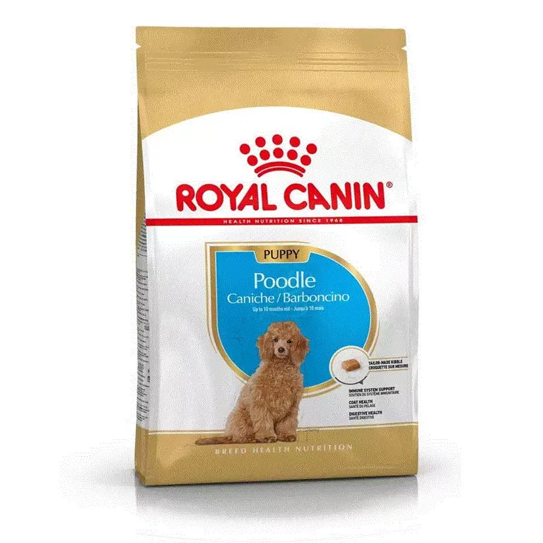RC Breed Poodle Puppy 3 kg