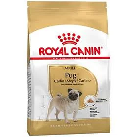 RC Breed Pug Adult 7,5 kg - Image 2