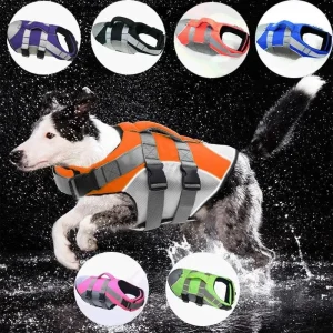 Redningsvest hund