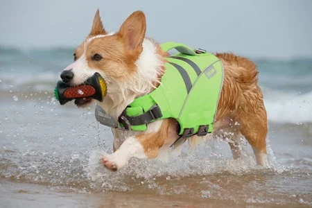 Redningsvest Wave Rider, XXL , 35-45kg