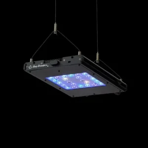 Reef Breeders Meridian 11