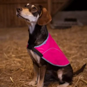 Refleksvest Rex Rosa