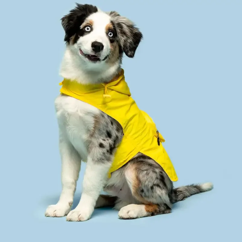 Regnjakke til hund sammenleggbar – gul