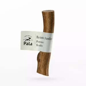 Reindeer Antler – L