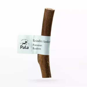 Reindeer Antler – M