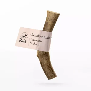 Reindeer Antler – S
