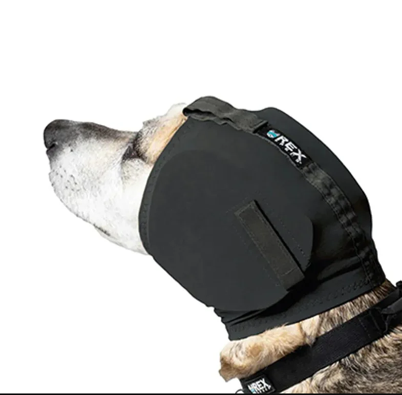 REX Specs Ear Pro, hørselvern - Image 2