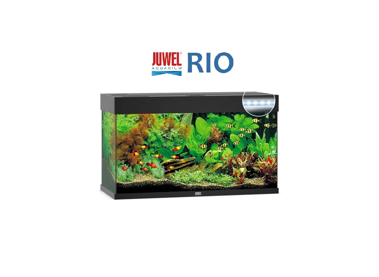 RIO Juwel, 125 Liter, Svart
