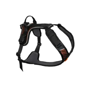 Rock harness