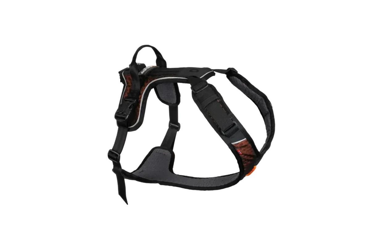 Rock harness