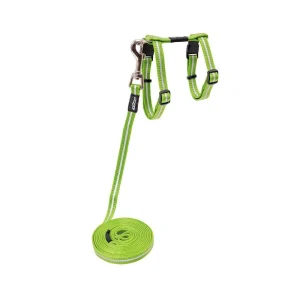 Rogz Alleycat Sele m/kobbel Grønn m/refleks S 11mmx24-40cm