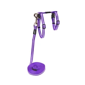 Rogz Alleycat Sele m/kobbel Lilla m/refleks S 11mmx24-40cm