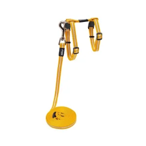 Rogz Alleycat Sele m/kobbel Orange m/refleks S 11mmx24-40cm