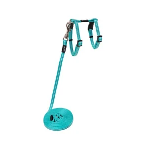 Rogz Alleycat Sele m/kobbel Turkis m/refleks XS 8mmx19-30cm