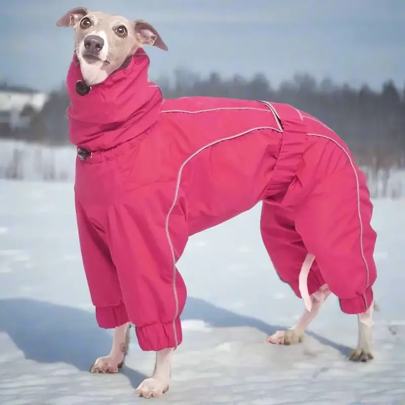 ROSE & EMET vinterdress for whippet