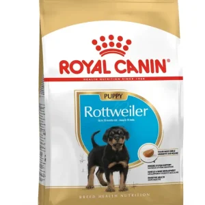 Rottweiler Puppy T酶rrf么r for hund 12kg