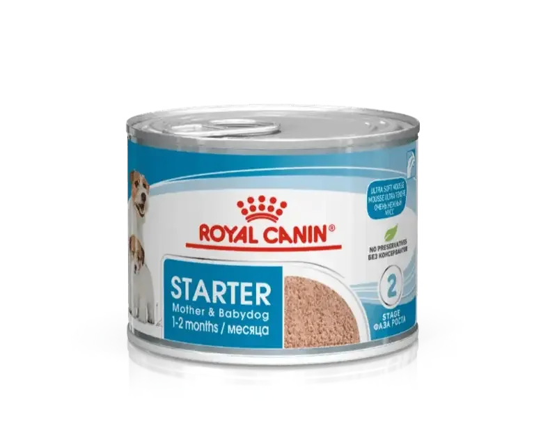 Royal Canin Puppy Starter Mousse