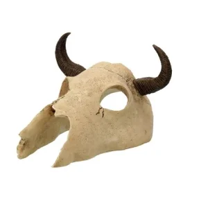 Rp Small Buffalo Skull 12,5X11,8X8Cm