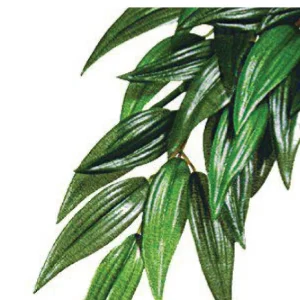 Rucus M Plastplante