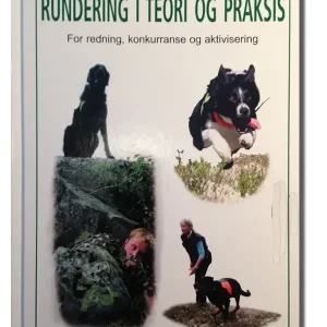Rundering i teori og praksis