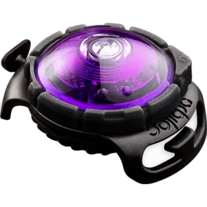 Safety Light Dog Dual LED - Purple