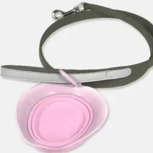 Sammenleggbar mat- og vannskål til hund – rosa