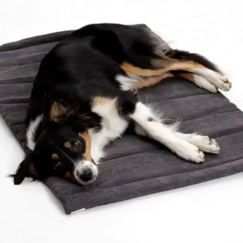 Sammenleggbar reiseseng/matte til hund og katt mørk grå